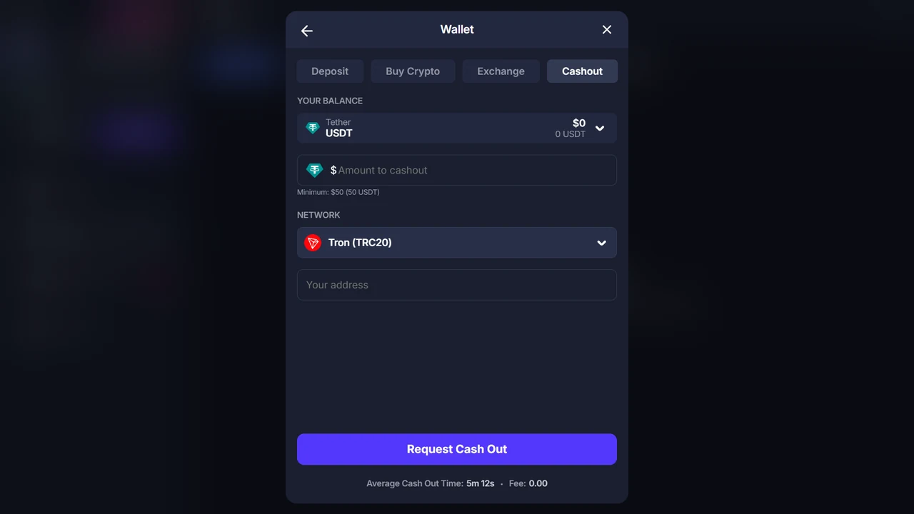 BitStarz logged-in USDT cashout interface