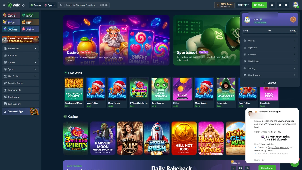 Logged-in Wild.io casino account showing Level 1, zero balance, wallet, VIP Club and casino lobby
